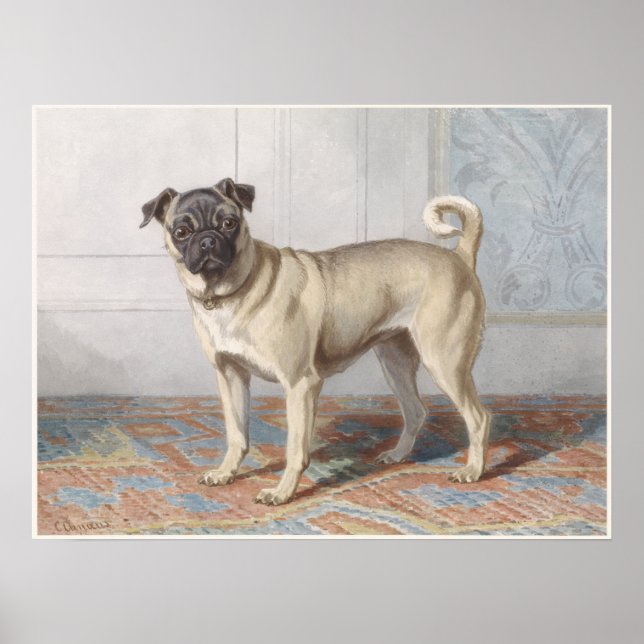 Vintage-Mops Poster (Vorne)