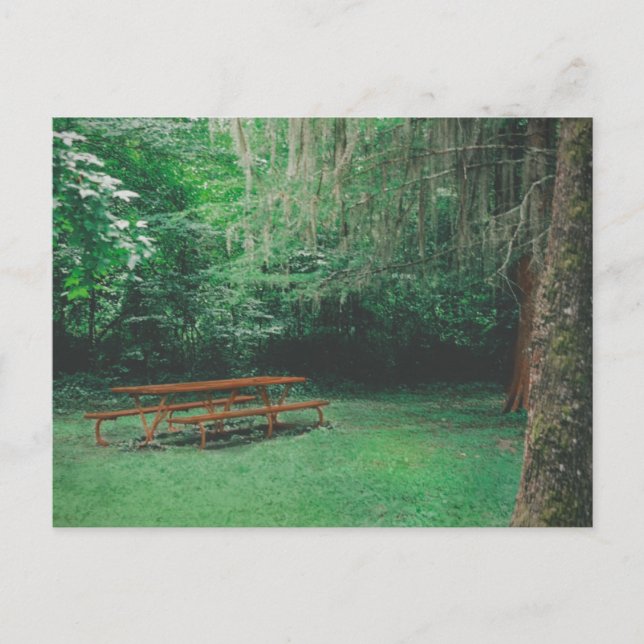 Vintage Mossy-Bench-Postkarte Postkarte (Vorderseite)