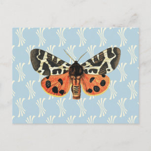 Vintage Moth Illustration Pop Art Postkarte