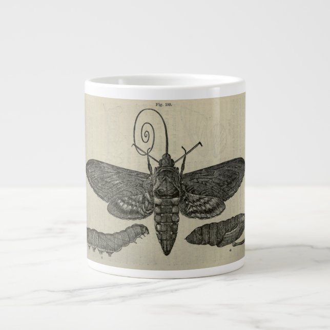 Vintage Moth Metamorphasis Jumbo-Tasse (Vorderseite)