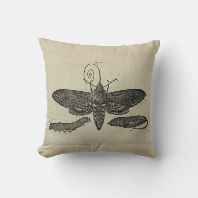 Vintage Moth Metamorphasis Kissen (Vorderseite)