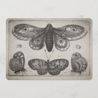 Vintage-Motten-Lepidoptera-Illustration (57) Einladung
