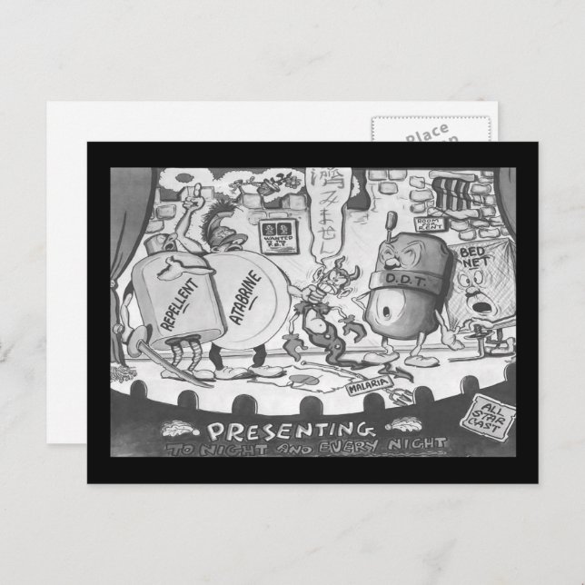 Vintage Mückenschutzkappe Postkarte (Vorne/Hinten)