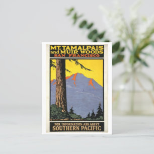 Vintage Muir Woods & Mt Tamalpais Postkarte