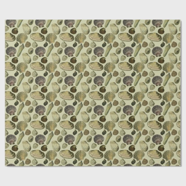 Vintage Muschel Geschenkpapier (Flach)