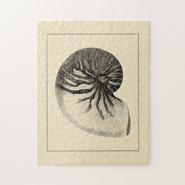 Vintage Muschel Schwarz/Weiß (Vertikal)