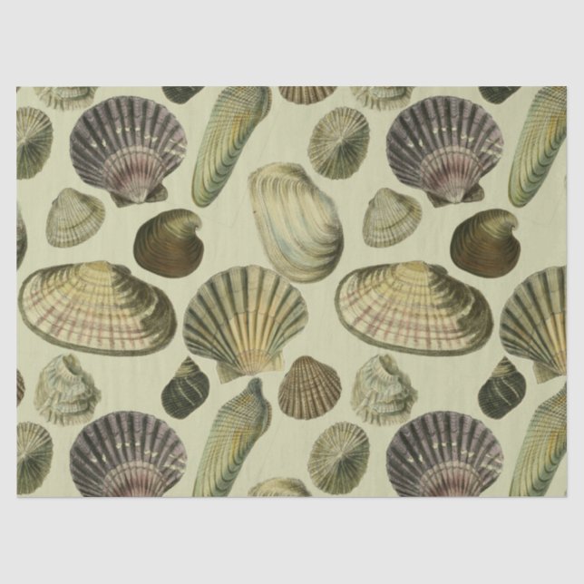 Vintage Muschel Seidenpapier (Vorderseite)