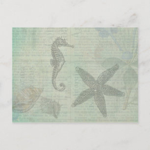 Vintage Muscheln, Starfish und Meerpferde Postkarte