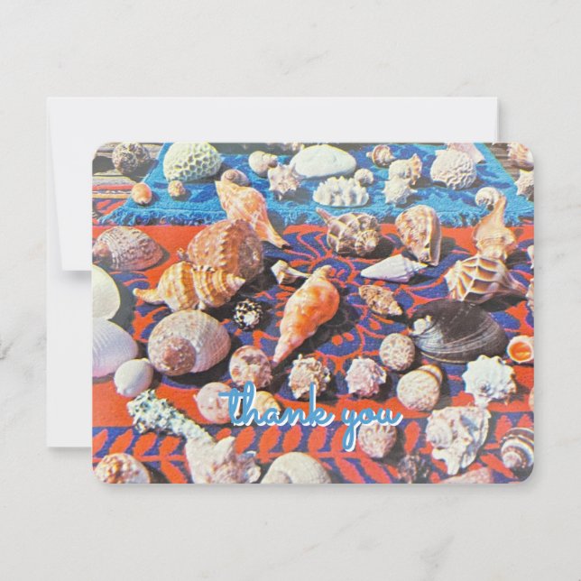 Vintage Muscheln - Stationäre Note-Karte Mitteilungskarte (Vorderseite)