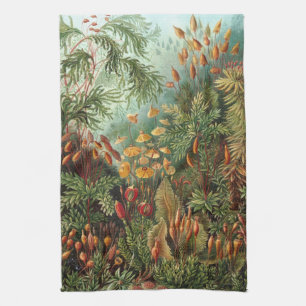 Vintage Muscinae, Moospflanzen von Ernst Haeckel Geschirrtuch