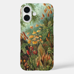 Vintage Muscinae, Moospflanzen von Ernst Haeckel iPhone 16 Hülle