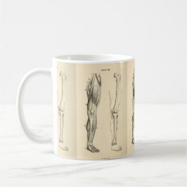 Vintage Muskeln der Anatomie- | und Knochen des Kaffeetasse
