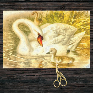Vintage Mutter Swan Baby Cygnet Wasserfarbe ausseh Seidenpapier