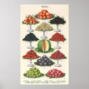 Vintage Nahrungsmittel sortierte Frucht auf Poster