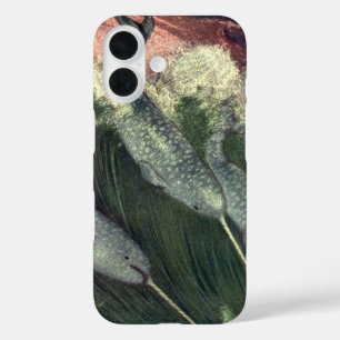Vintage Narbale, Meereswale und Meerestiere iPhone 16 Hülle
