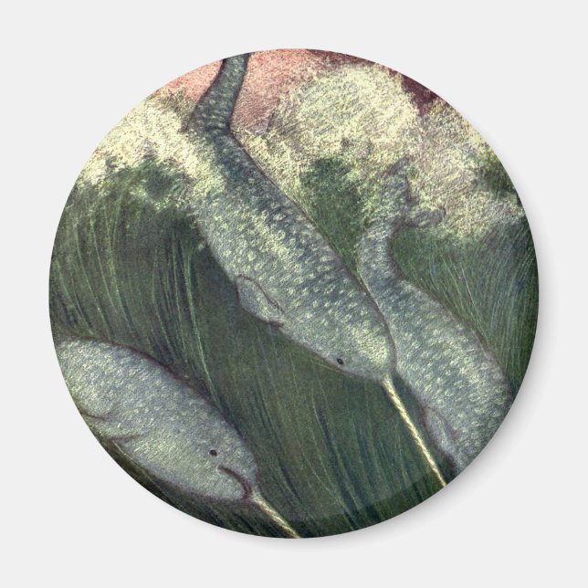 Vintage Narbale, Meereswale und Meerestiere Magnet (Vorne)