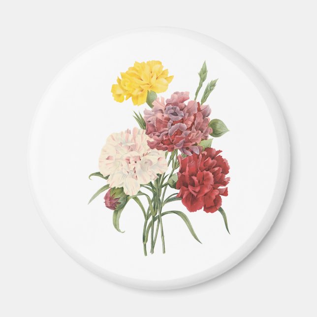 Vintage Nelken Dianthus Garden Blume Redoute Magnet (Vorne)