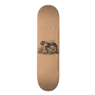Vintage Neufundland-Hunde1800s Hundeillustration Skateboard
