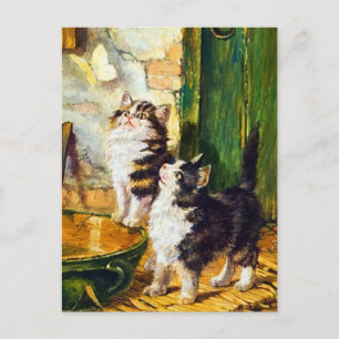 Vintage neugierige Kätzchen Schmetterling Katzenku Postkarte