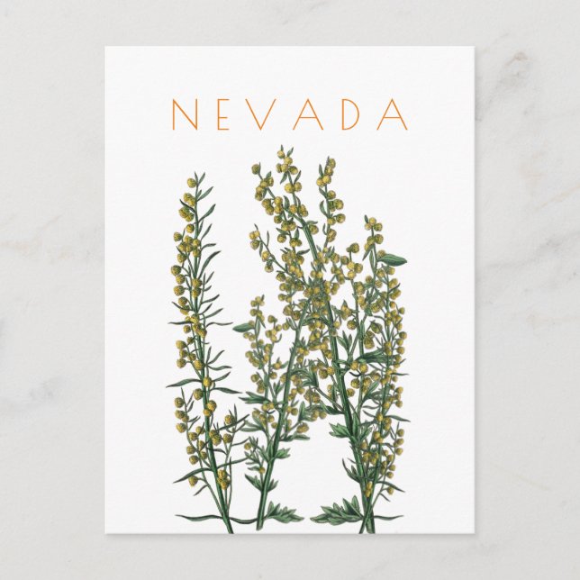 Vintage Nevada Staat Blume Reise Mitte Jahrhundert Postkarte (Vorderseite)