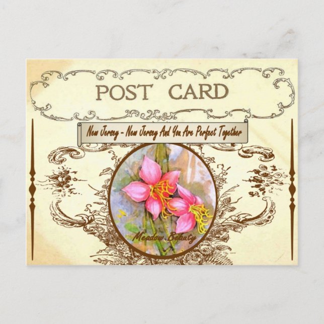 Vintage New Jersey Staat Blume Postkarte (Vorderseite)