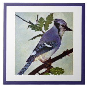 Vintage Niedliche Blaue Vogelart und Foliage Fliese