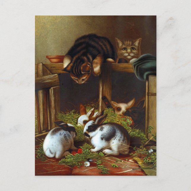 Vintage Niedliche Kaninchen und Kätzchen Postkarte (Vorderseite)