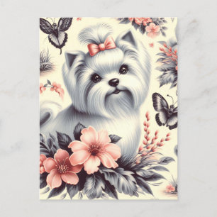 Vintage Niedliche Maltesische Illustration Postkarte