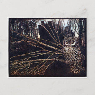 Vintage Night Owl Rackham Postkarte
