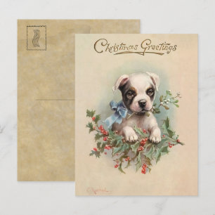 Vintage Noël Chiot Chiot Voeux Carte postale