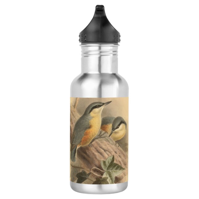 Vintage NuthatchIllustration Edelstahlflasche (Rechts)