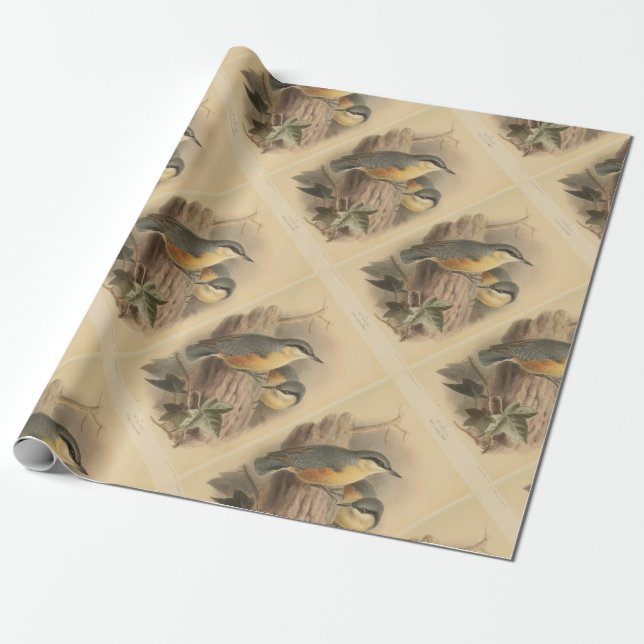 Vintage NuthatchIllustration Geschenkpapier (Ungerollt)
