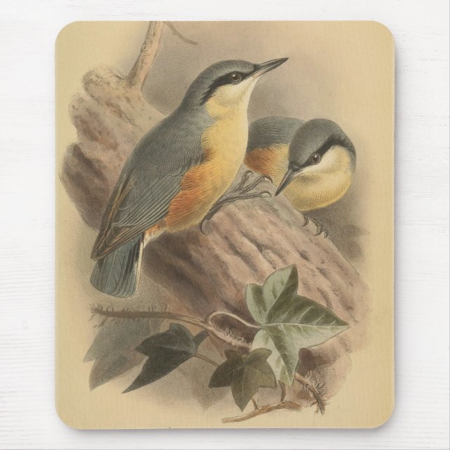 Vintage NuthatchIllustration Mousepad (Vorne)