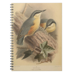 Vintage NuthatchIllustration Notizblock