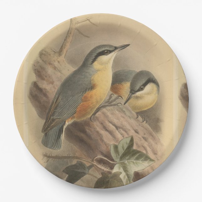 Vintage NuthatchIllustration Pappteller (Vorderseite)