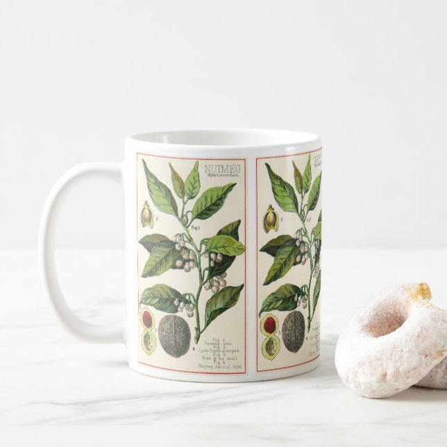 Vintage Nutmeg Pflanze Fruchtsaat, Gewürze für Leb Kaffeetasse (Mit Donut)