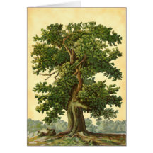 Vintage Oak Tree Faux Parchment Blank Art Card