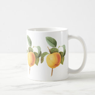 Vintage Obst Nahrung, Calville Apfel von Redoute Kaffeetasse