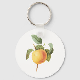 Vintage Obst Nahrung, Calville Apfel von Redoute Schlüsselanhänger
