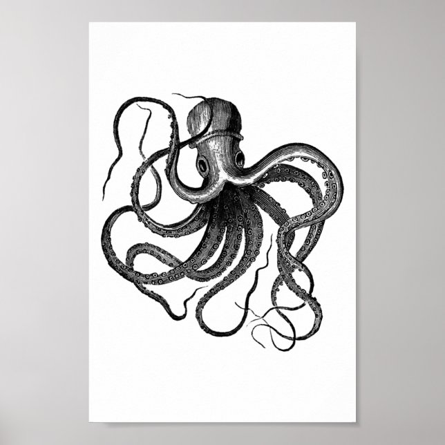 Vintage Octopus-Illustration Poster (Vorne)