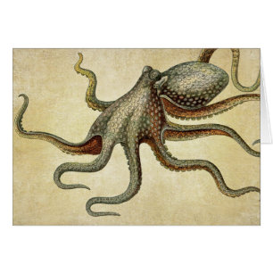 Vintage Octopus Nautique Vie maritime