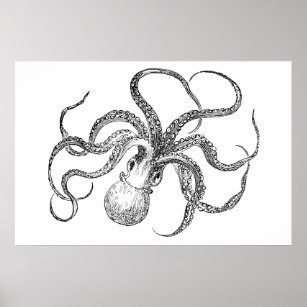 Vintage Octopus-Vorlage Poster