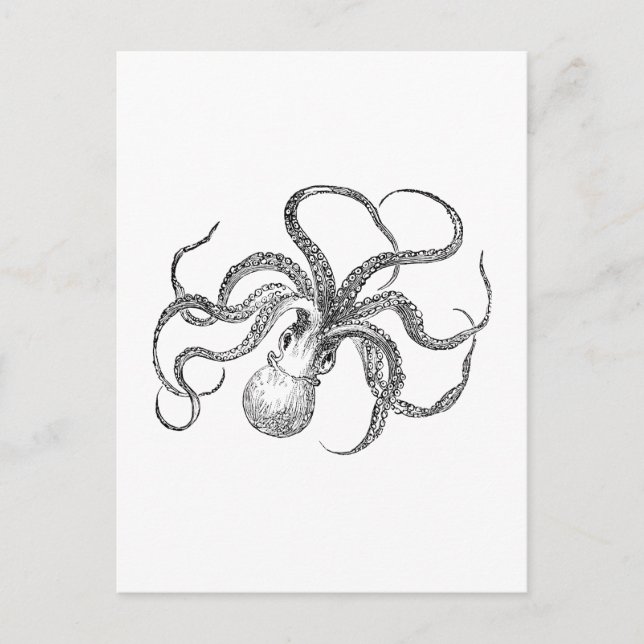 Vintage Octopus-Vorlage Postkarte (Vorderseite)