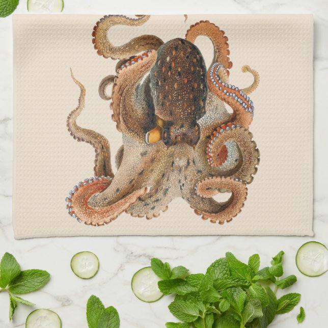 Vintage Octopus Vulgaris, Meerestiere Geschirrtuch (Gefaltet)