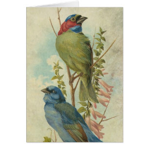 Vintage Oiseaux bleus et verts Toute l'Ocassion