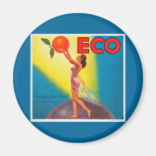 Vintage-Öko-Orangenetikett Magnet