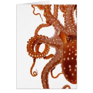 Vintage-Oktopus-Karte