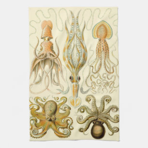 Vintage-Oktopus-Tintenfisch-Gamochonia von Ernst H Geschirrtuch