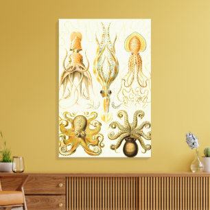 Vintage-Oktopus-Tintenfisch Gamochonia von Ernst H Leinwanddruck