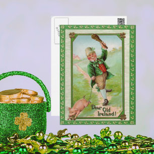 Vintage Old Dear Ireland Karte
